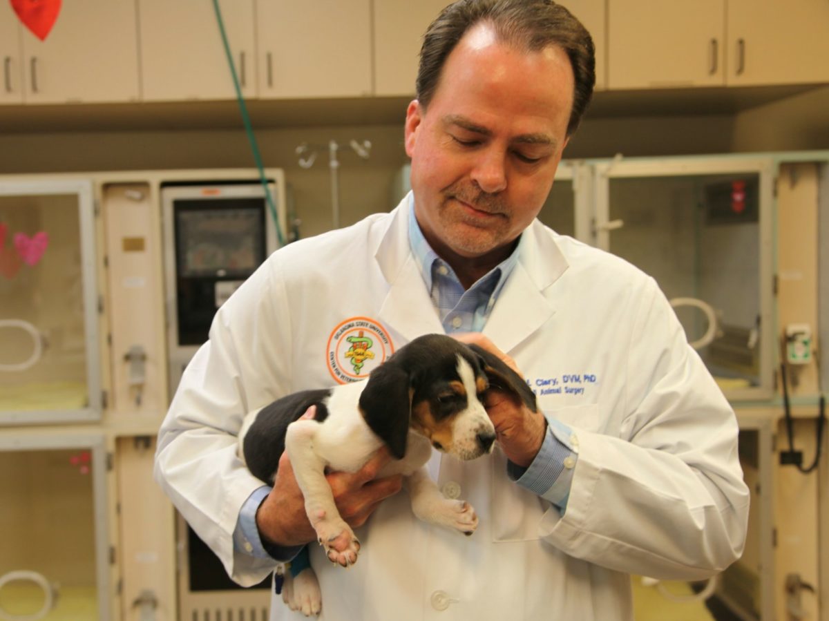 Dr. Erik Clary holds a puppy born with upside down paws.